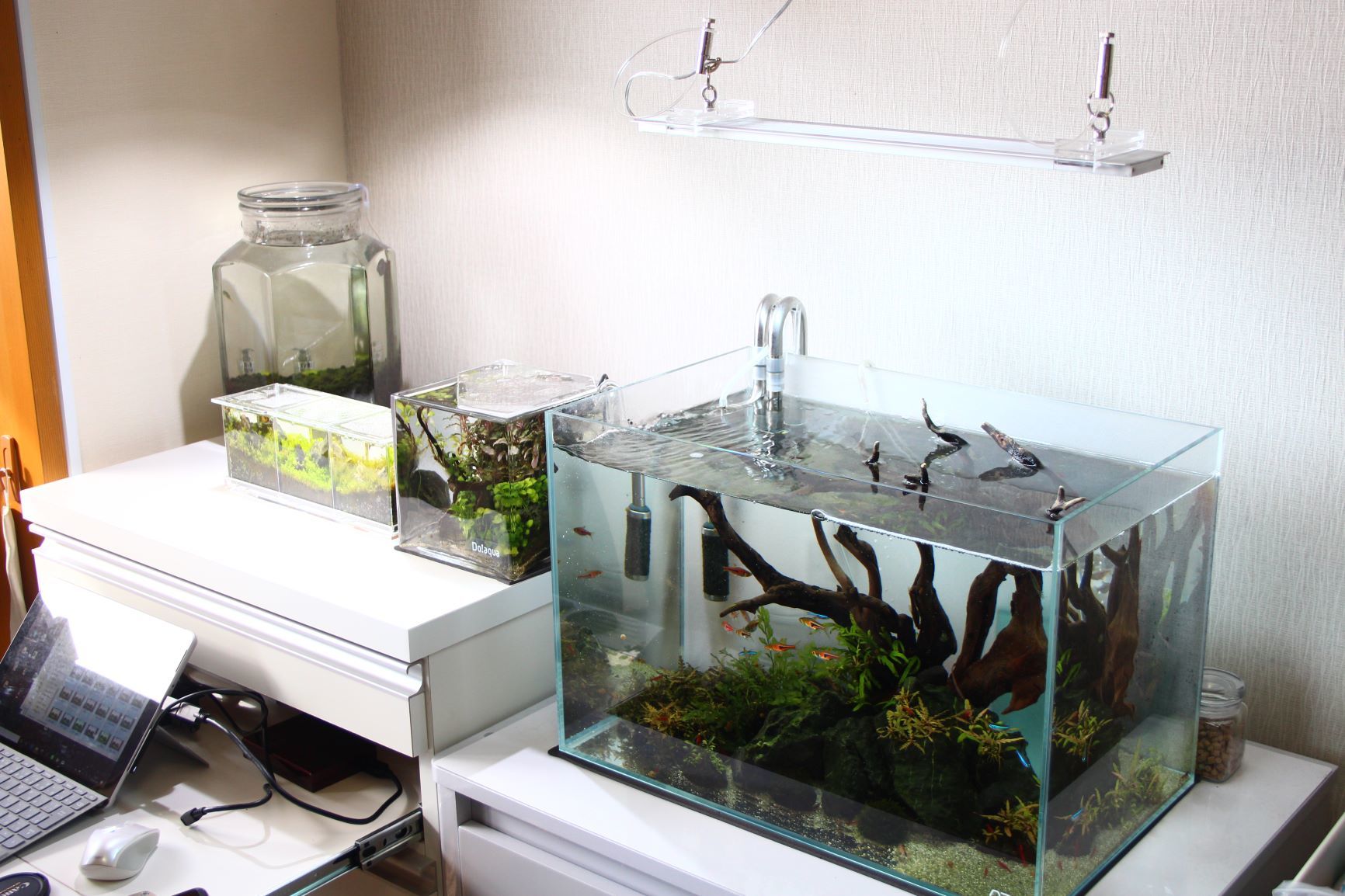 アクアスカイRGB アクアスカイ アクアデザインアマノ ADA