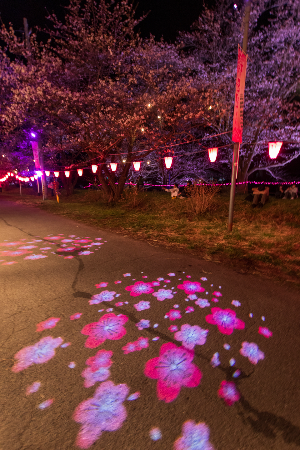 桜を見る会2024 二戸駅前金勢大明神と共に…その1 - 戸(のへ)のつく町