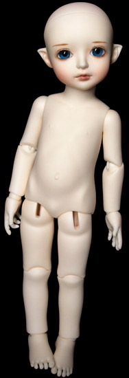 カスタムハウス Petite・AI ウリエル やや難あり】CUSTOMHOUSE petite