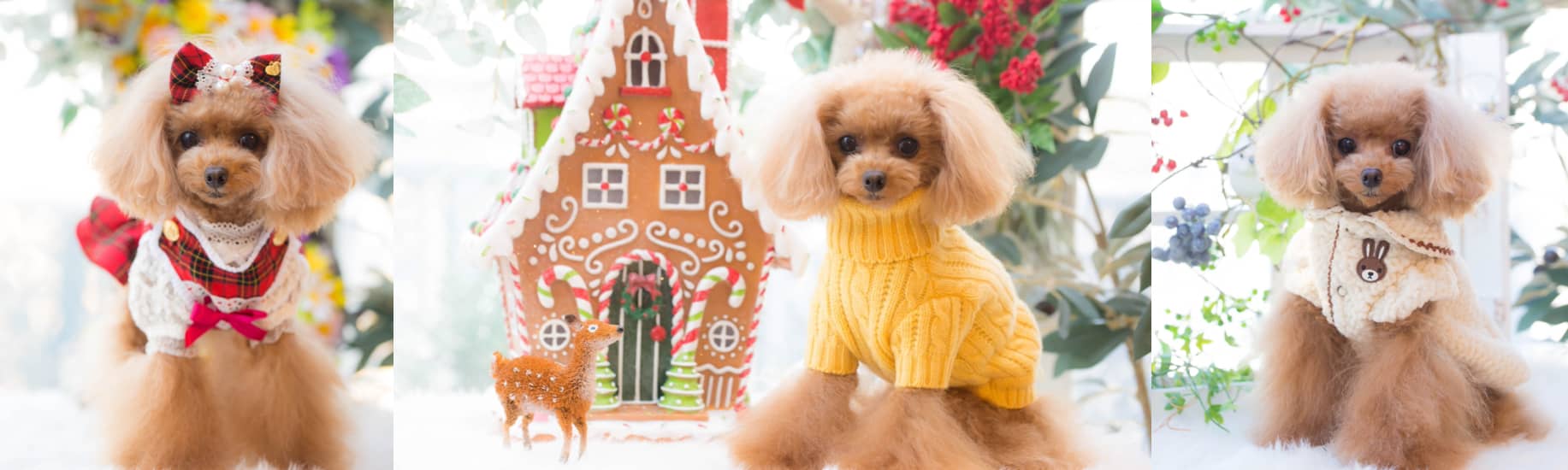 ドッグブティック・ブルブブ