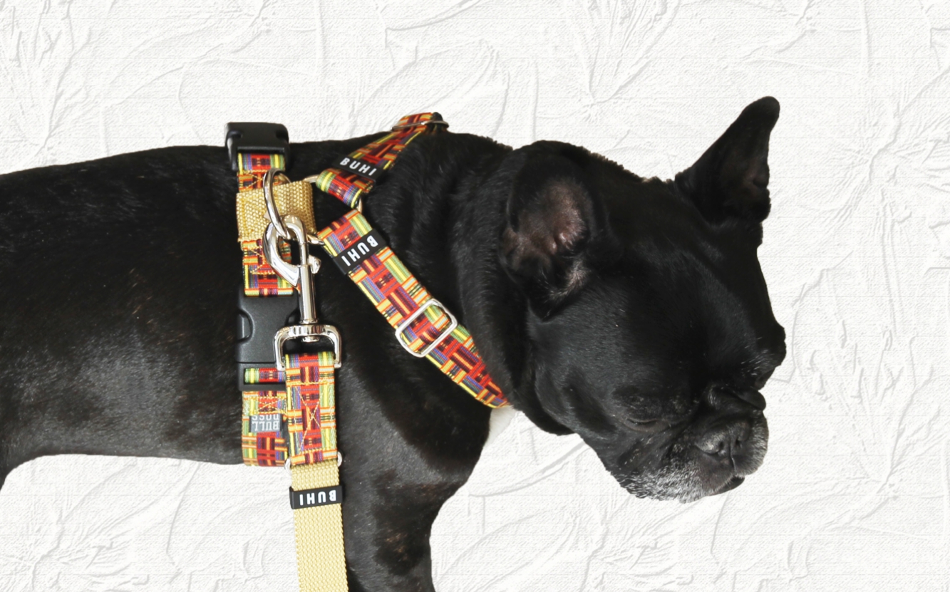プリントBUHIコラボハーネス of フレンチブルドッグ服 ハーネス 首輪