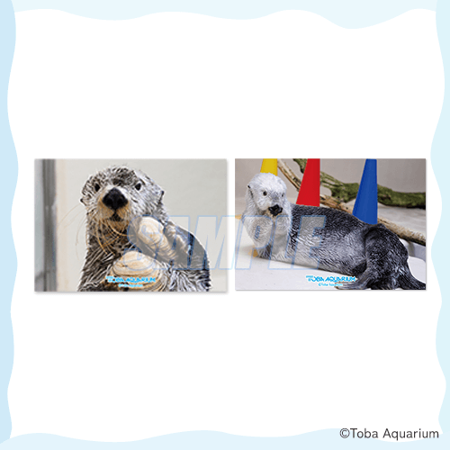 カプくじ×鳥羽水族館 ラッコのメイちゃんくじ リターンズ！ | カプくじ