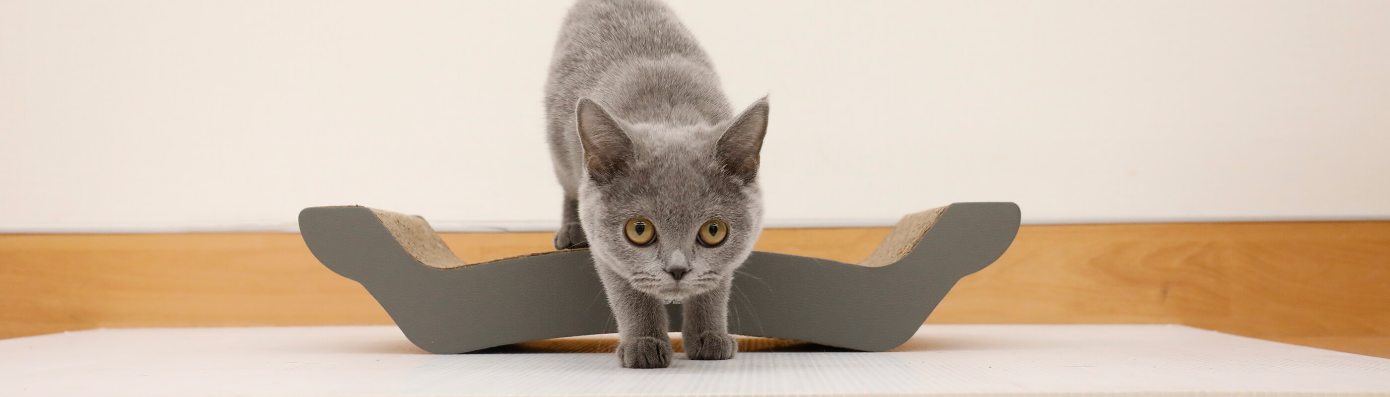 ペット用品 – 株式会社シービージャパン CB JAPAN CO.,LTD