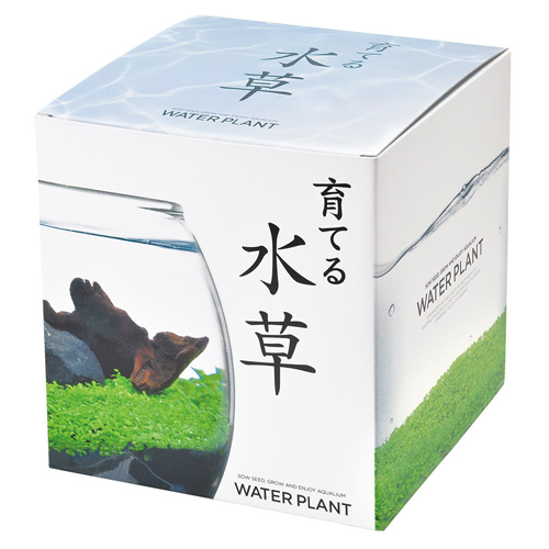 聖新陶芸 育てる水草 L GD813｜【ハンズネットストア】