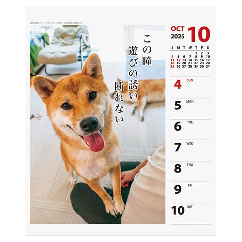 2026年版・壁掛卓上兼用】 アートプリントジャパン（A.P.J.） 週めくり