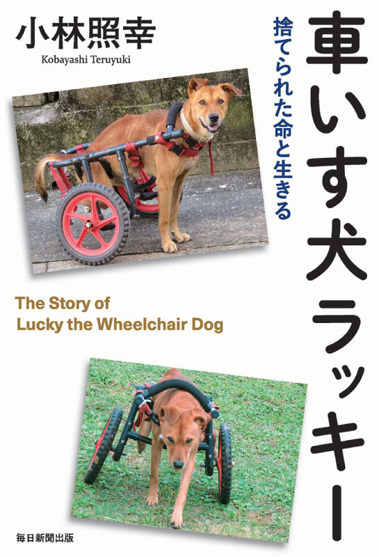出版：犬は人を変える－－「車いす犬ラッキー 捨てられた命と生きる