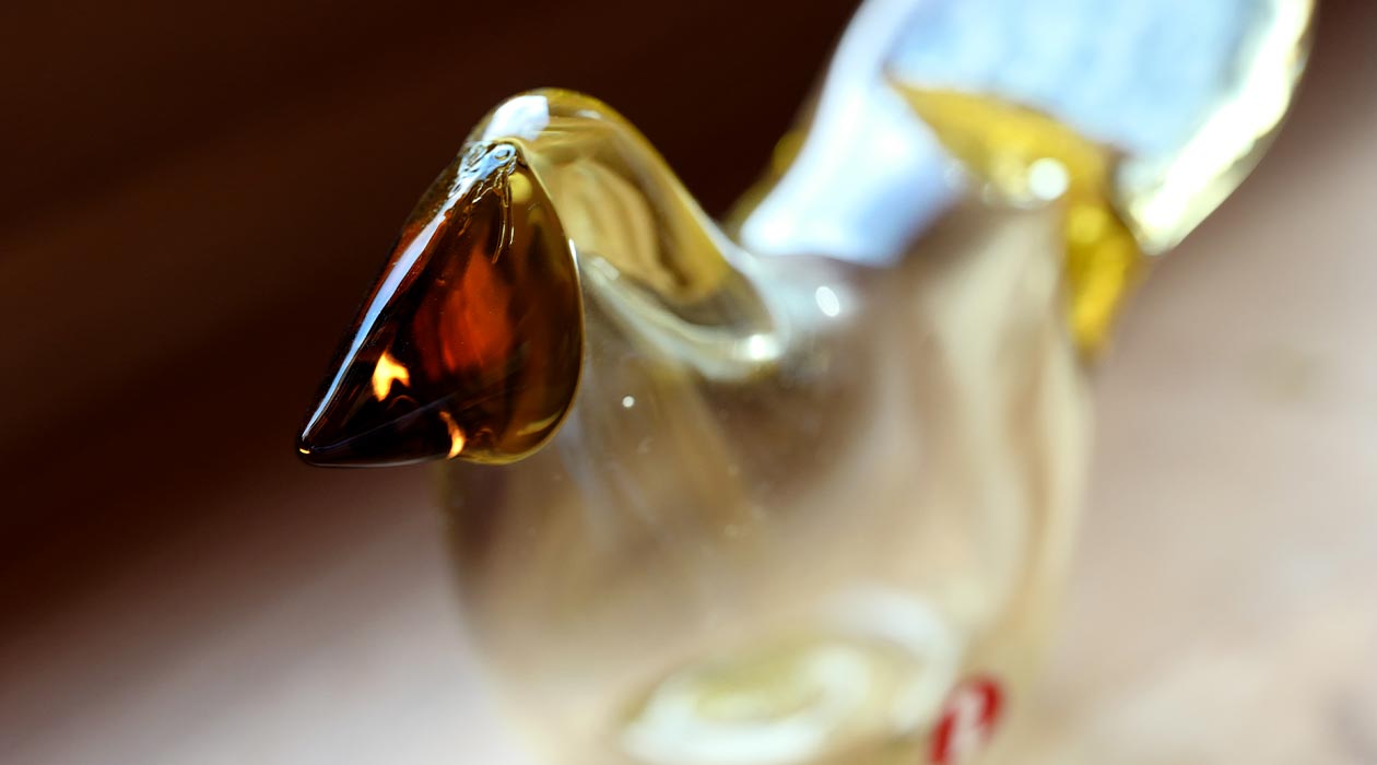 限定 イッタラ iittala バード スコープ シエッポ 卸売 オレンジ