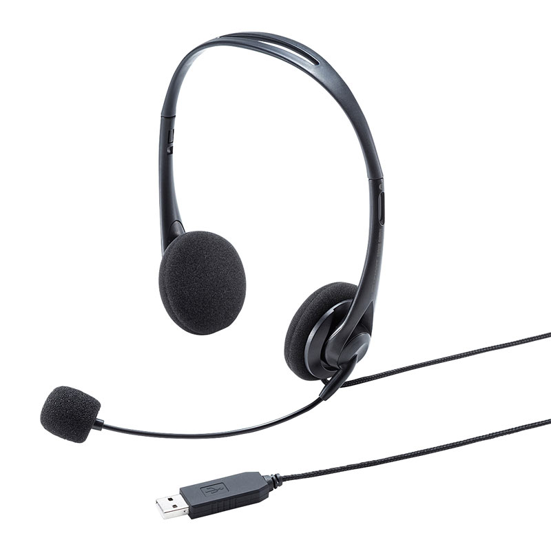 SONY ワイヤレスヘッドホン USB・3.5mmケーブル付属 SONY ワイヤレス