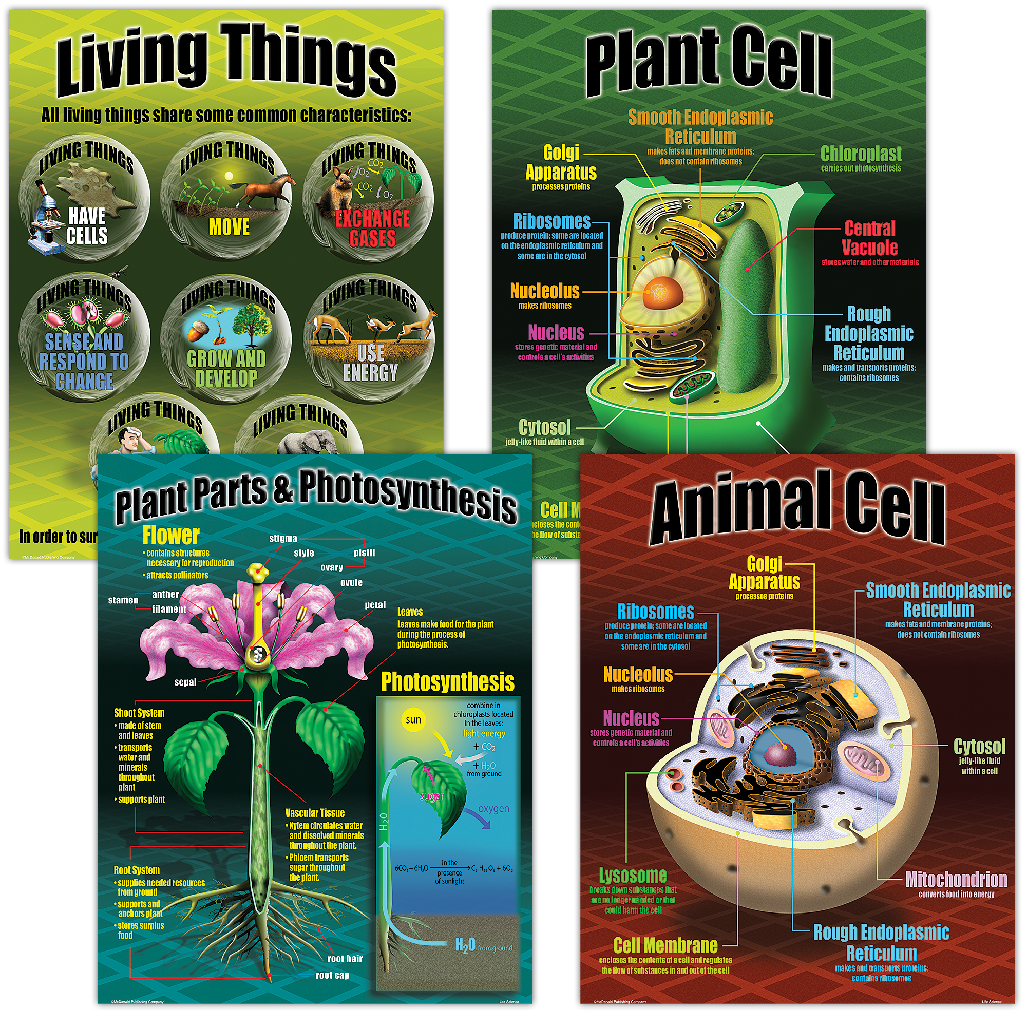 Life Science Poster Set - TCRP077 | Teacher Created Resources