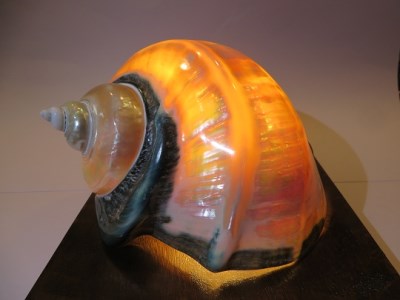 夜光貝ランプJ-⑮｜鹿児島県喜界町｜ポイント制ふるさと納税「ふる