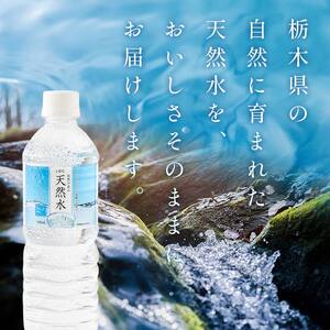 水 ミネラルウォーター 天然水 500ml 48本 お水 飲料水 軟水で飲み