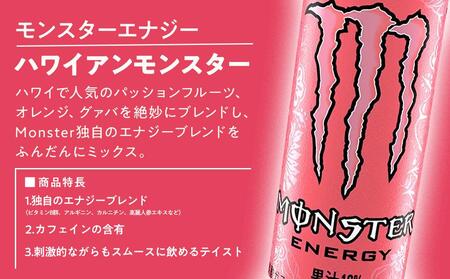 モンスターパイプラインパンチ 355ml×24本【2ケース】 計48本 | 和歌山