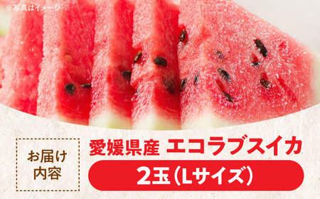先行予約】【6月上旬より順次発送】エコラブスイカ（Lサイズ）2玉
