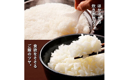 令和6年産 田野米 20kg（5kg×4袋）～精米・白米～ | 高知県田野町