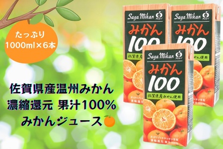特売！濃縮還元してない・みかんジュース1000ml×12本 濃厚美味