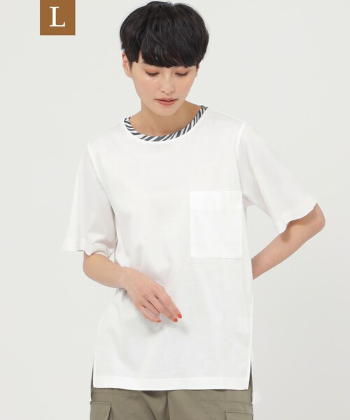 真作】 香田勝太 「菊の図」（合箱） 【公式通販】