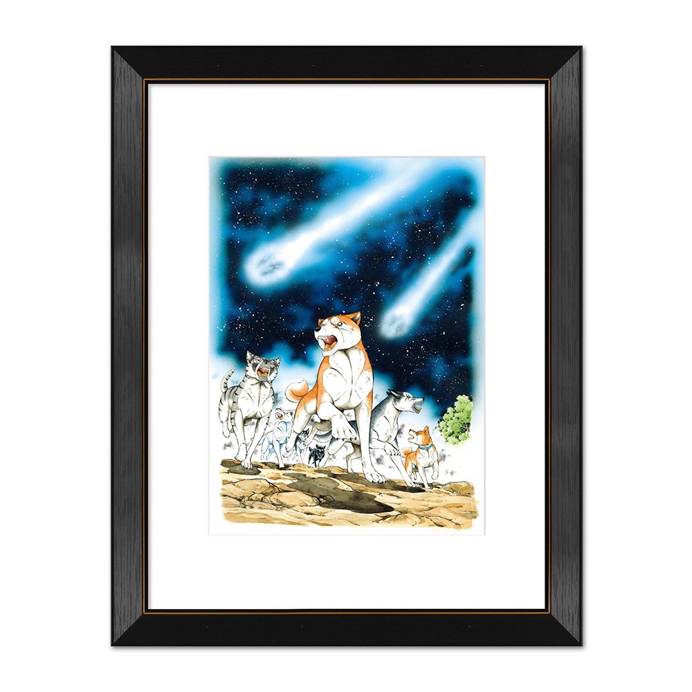 銀牙伝説ノア キャラファイングラフ「流星」 – CHARA-ART