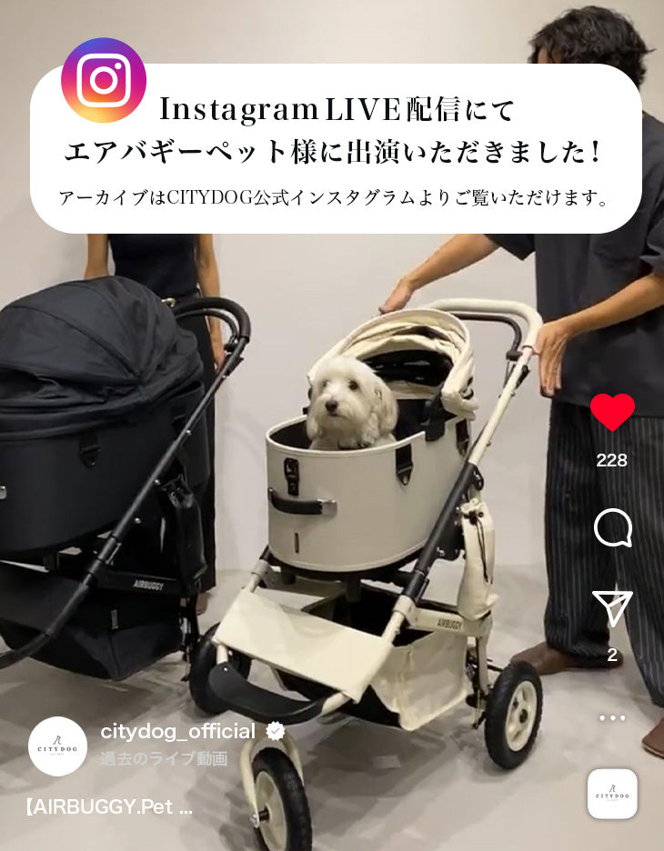 エアバギー ドーム3 プレミアムセット ラージ ペットカート CITYDOG