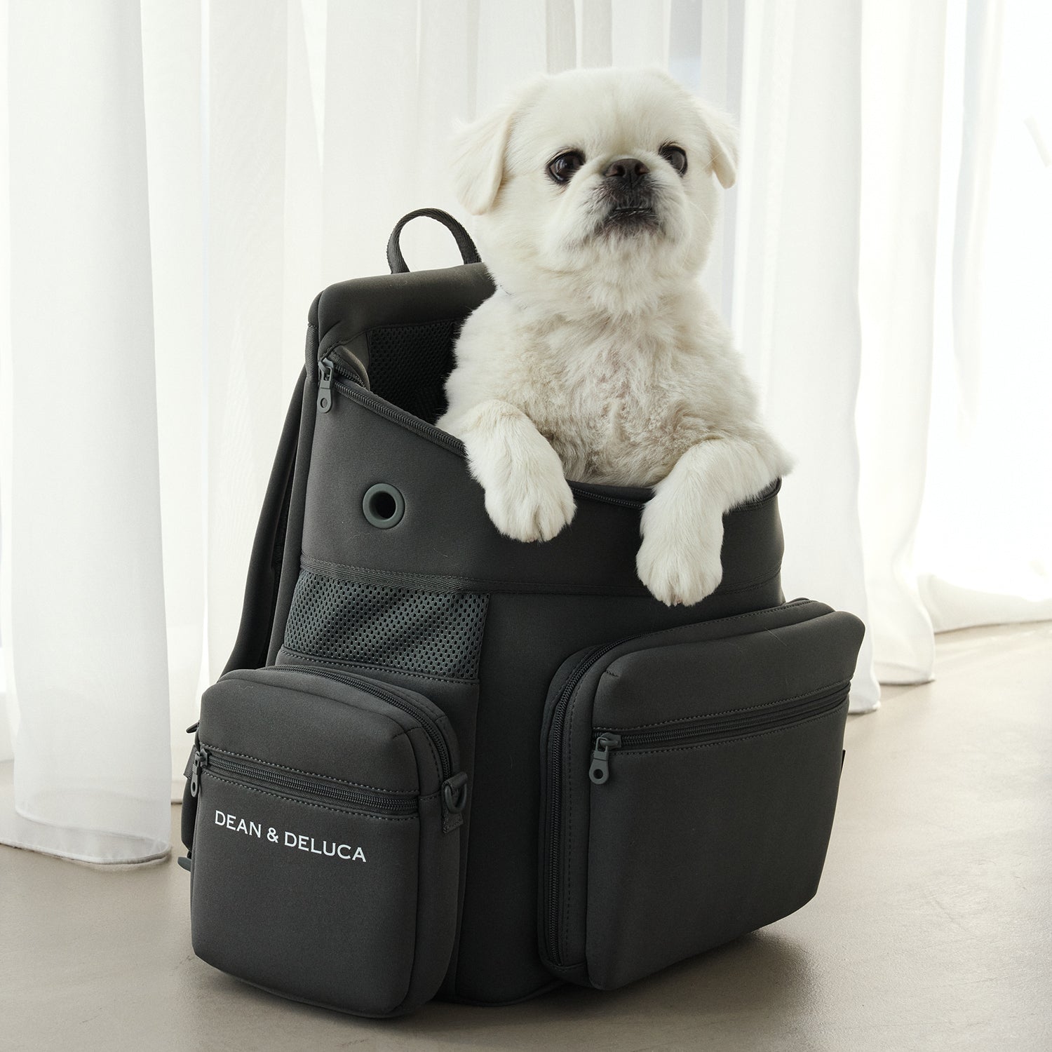 DEAN ＆ DELUCA ｜ CITY DOG バッグパックキャリー – CITYDOG