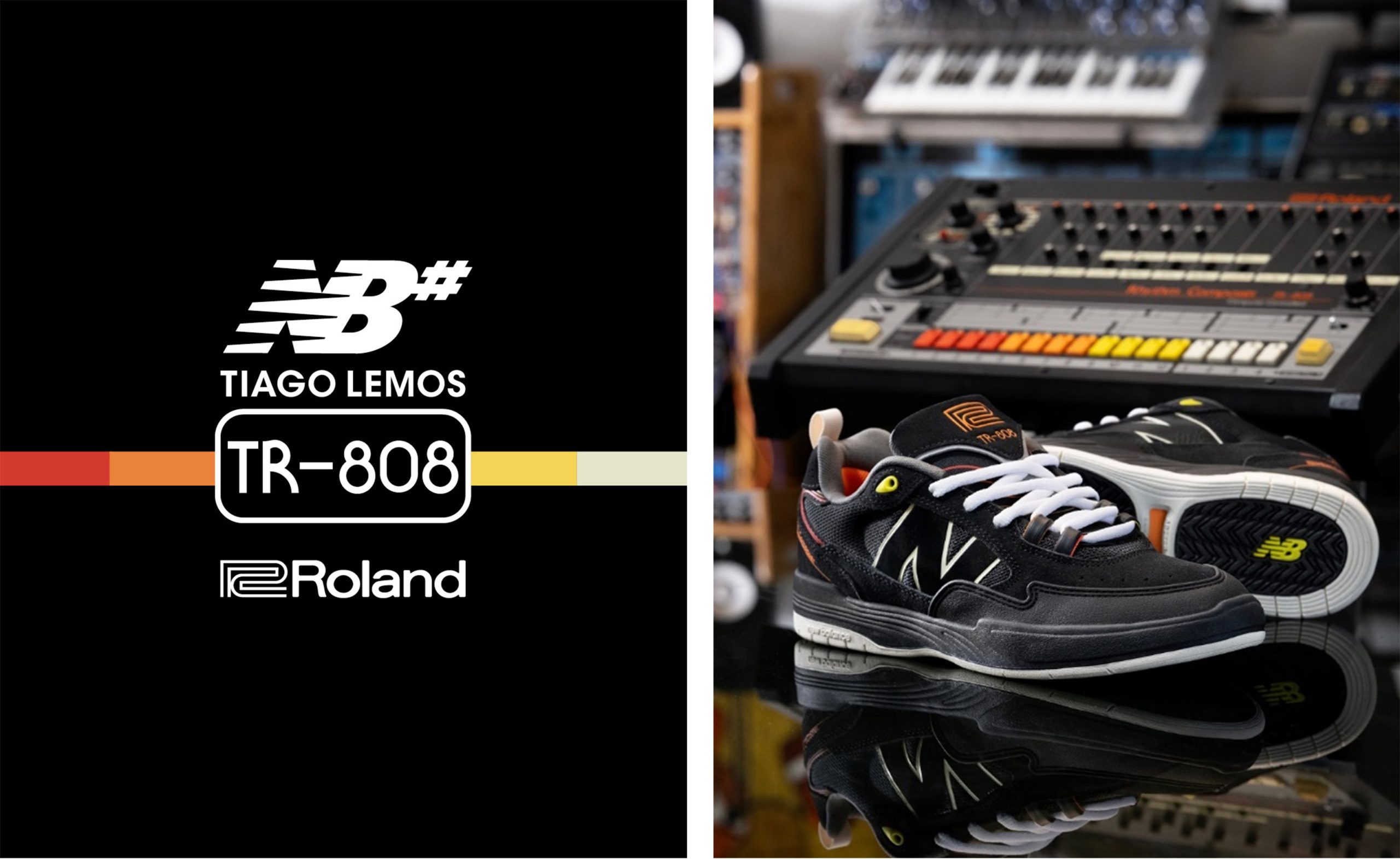 新種 亡きドイツの研究者カールウエルナー氏に献名 71mm 新種亡き