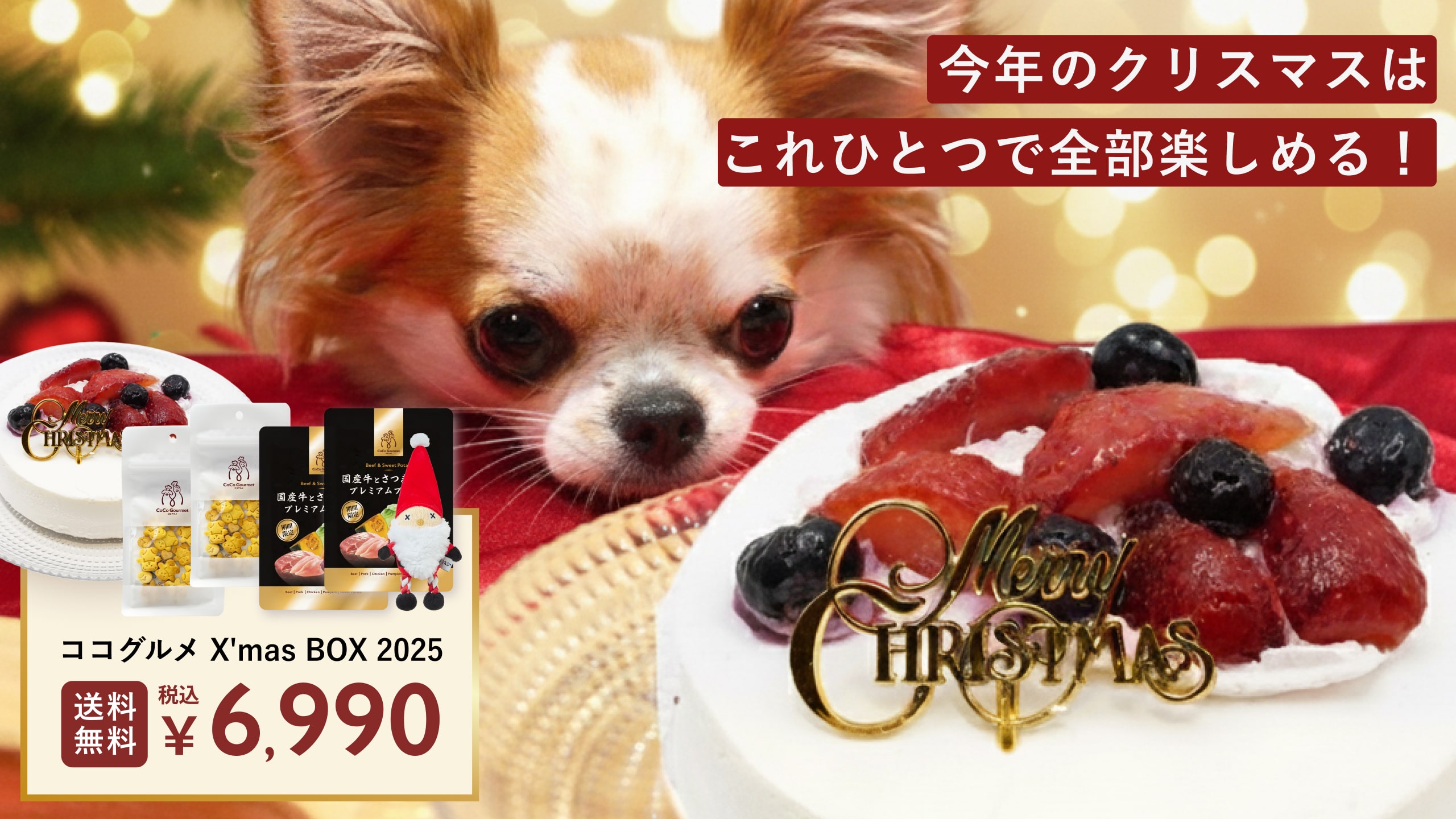 ココグルメ 犬用ウエットフード（冷凍）25個 獣医師監修】手づくり