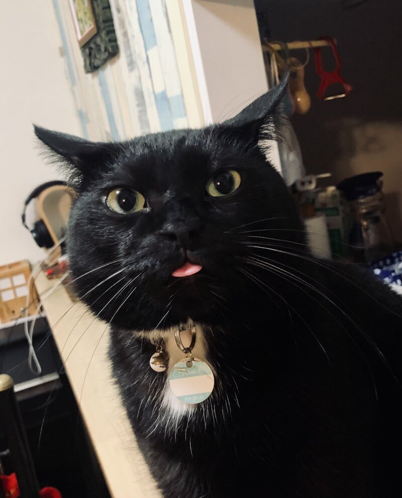 BUCK-TICK 櫻井敦司とくるみちゃんの部屋」#5：櫻井敦司20歳の頃｜THE