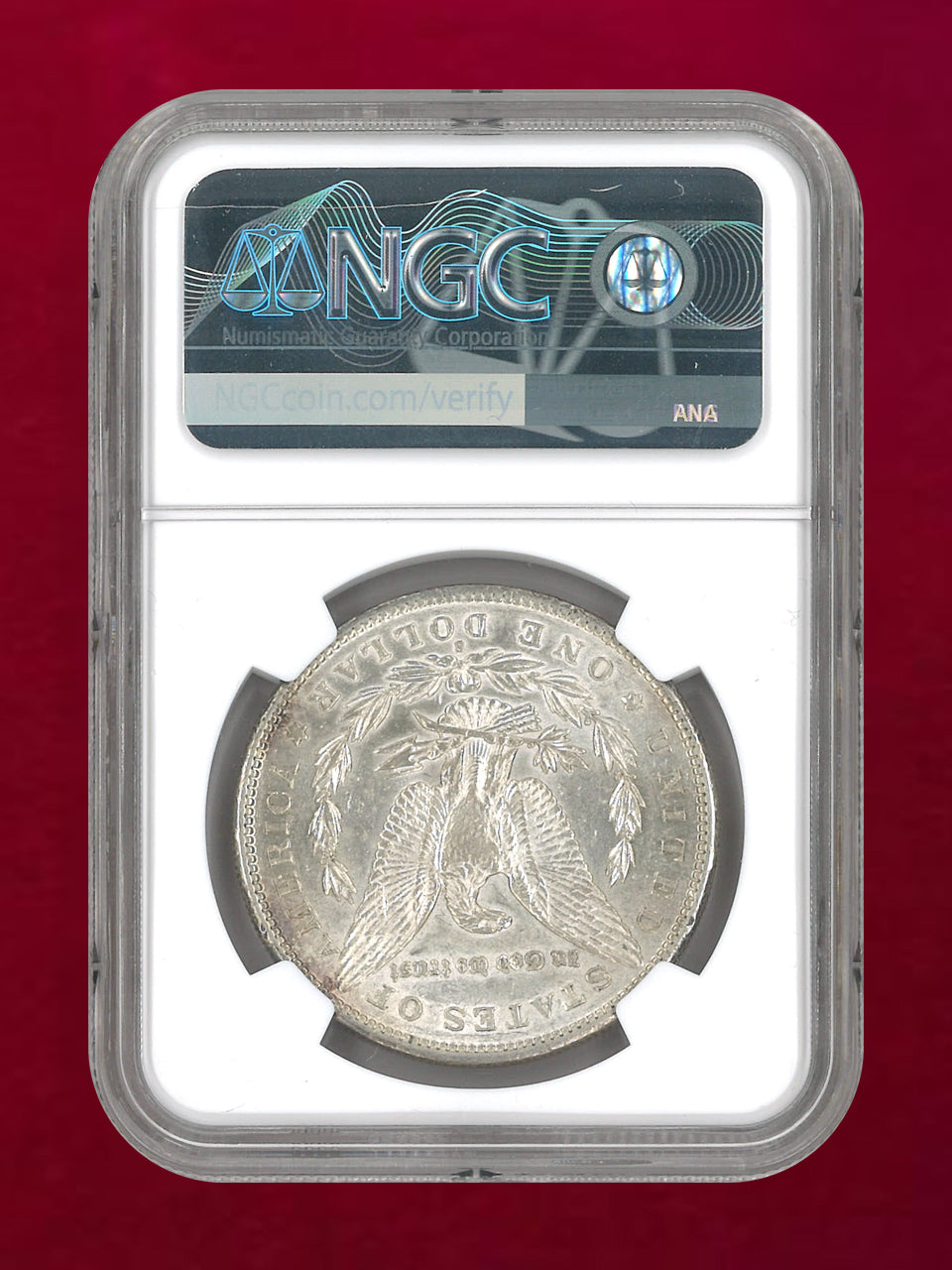 モルガンダラー銀貨(トーン) モルガンダラー銀貨(トーン) 1900年