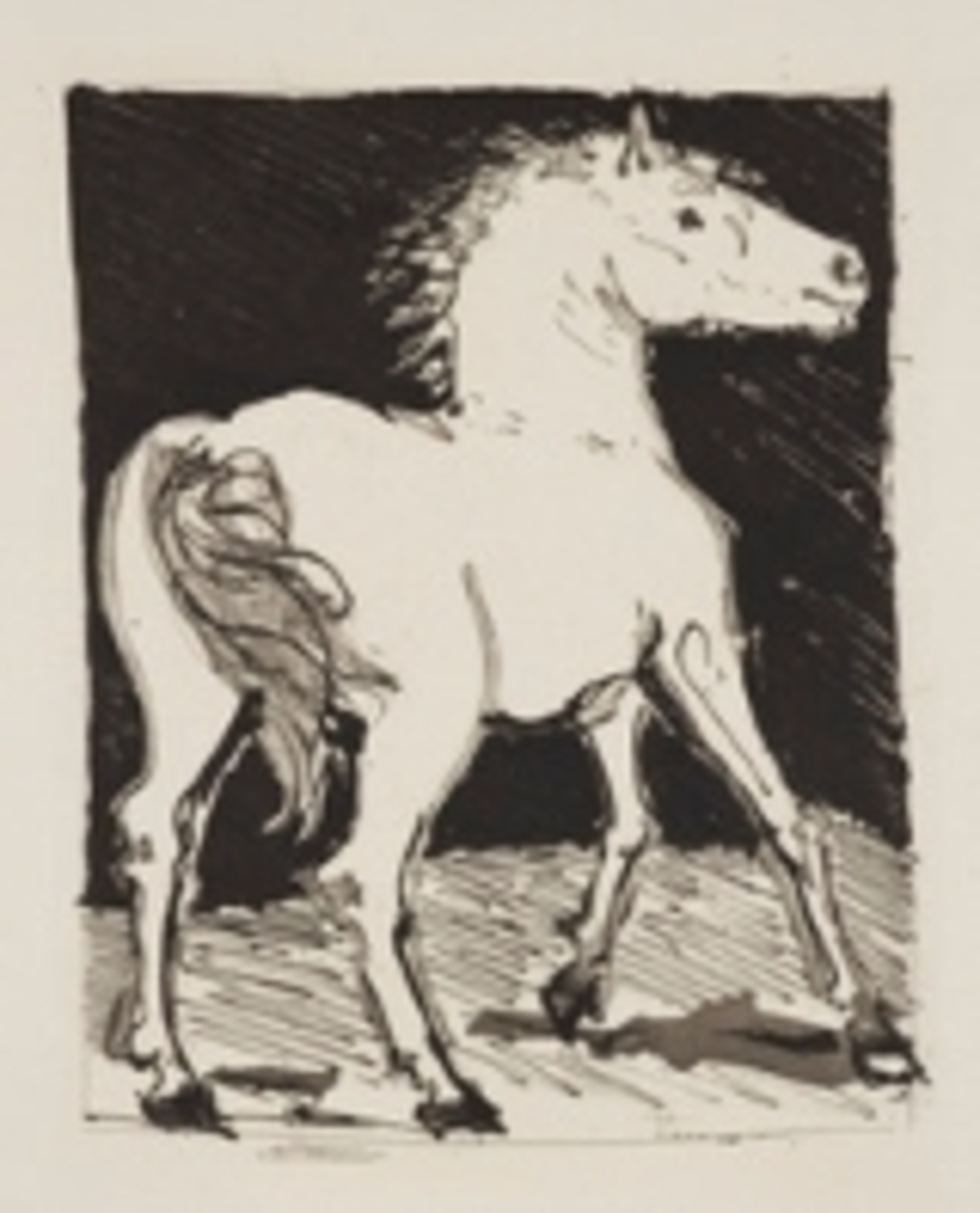 ビュフォン『博物誌』のためのオリジナル・エッチング|パブロ・ピカソ