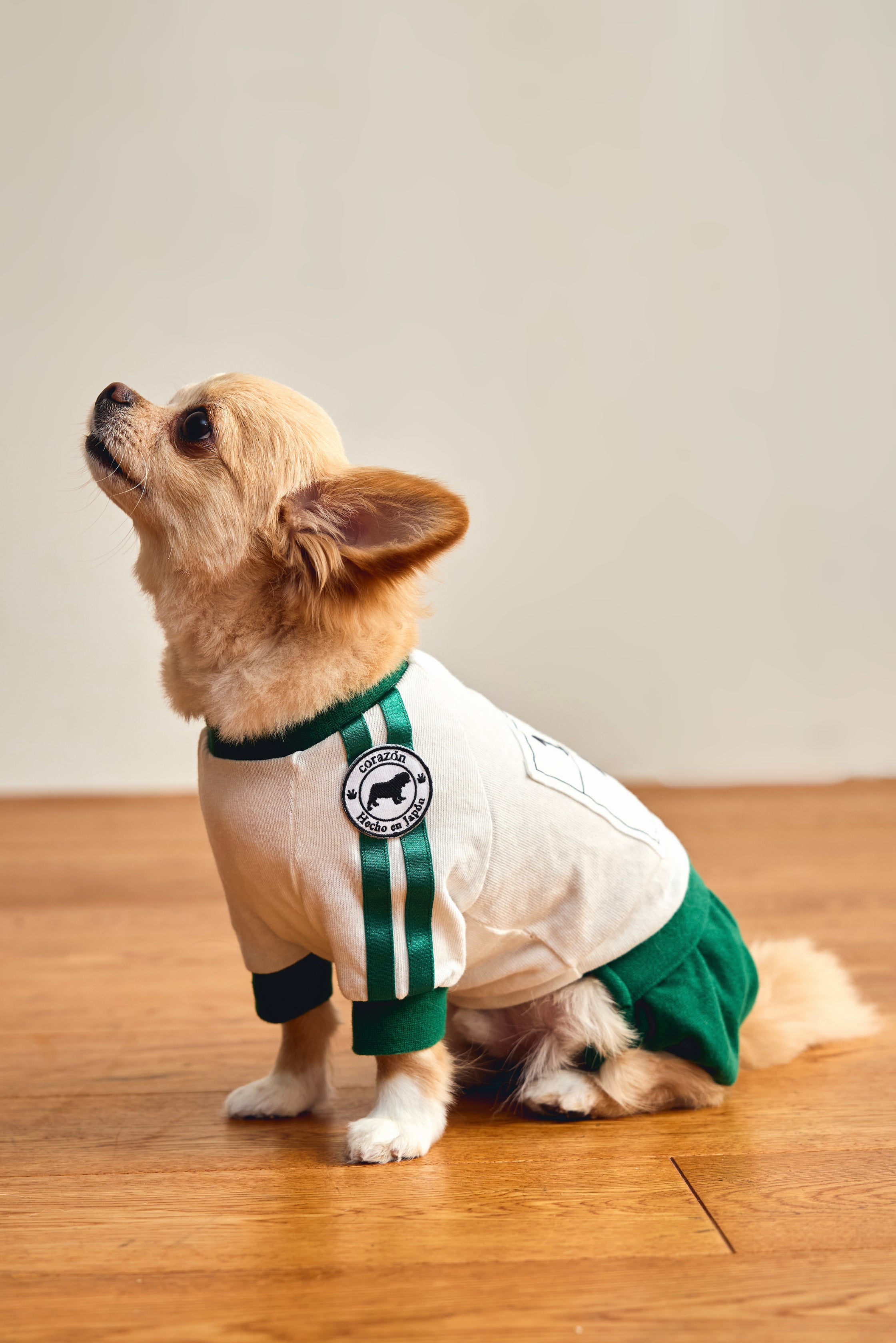 ペット服ならcorazón（コラソン）/【緑】ゼッケン付きブルマ体操着