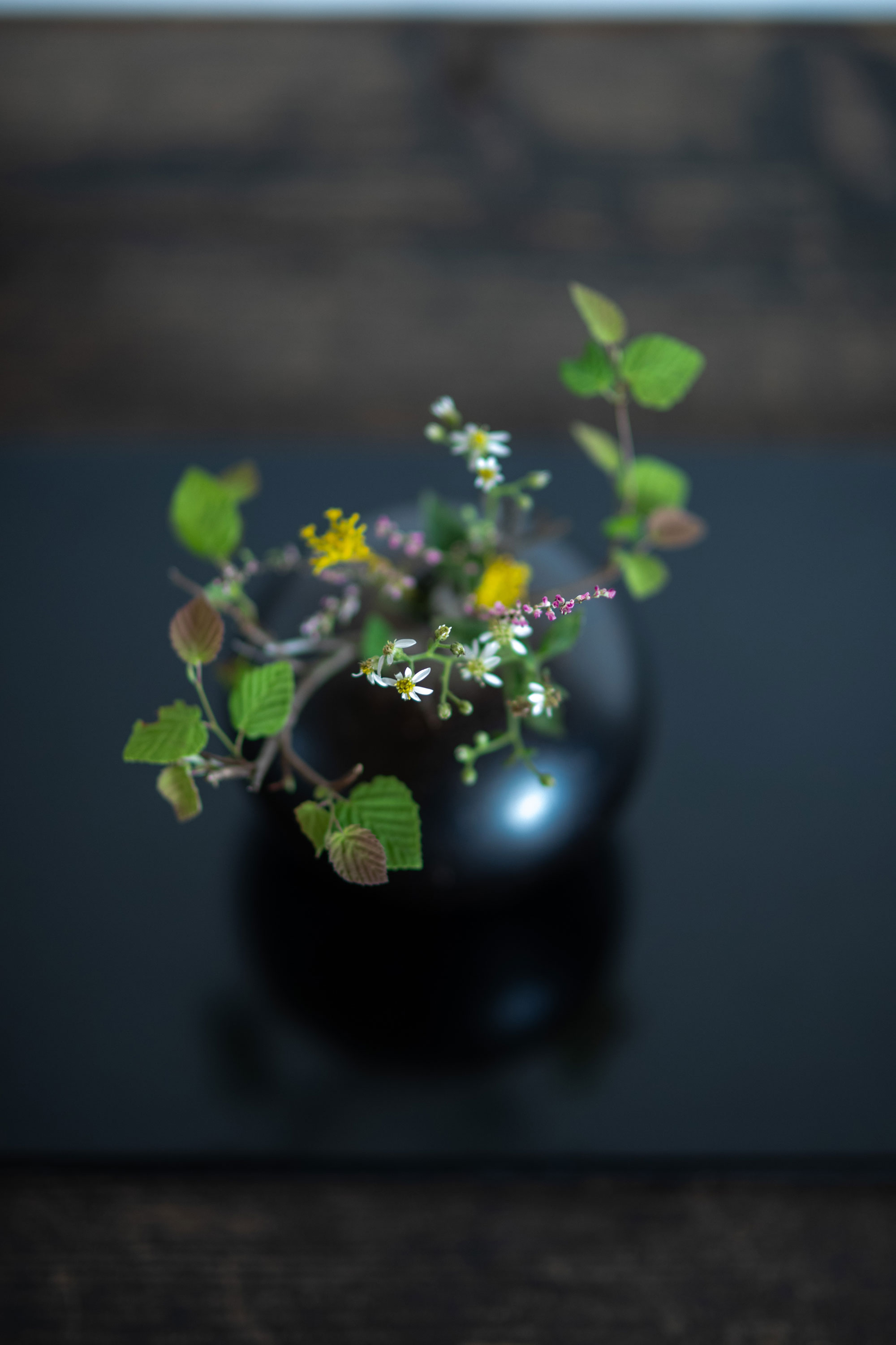 小灯の会 Vol.21 花師 齊藤謙大「秋の野草 いけばなワークショップ