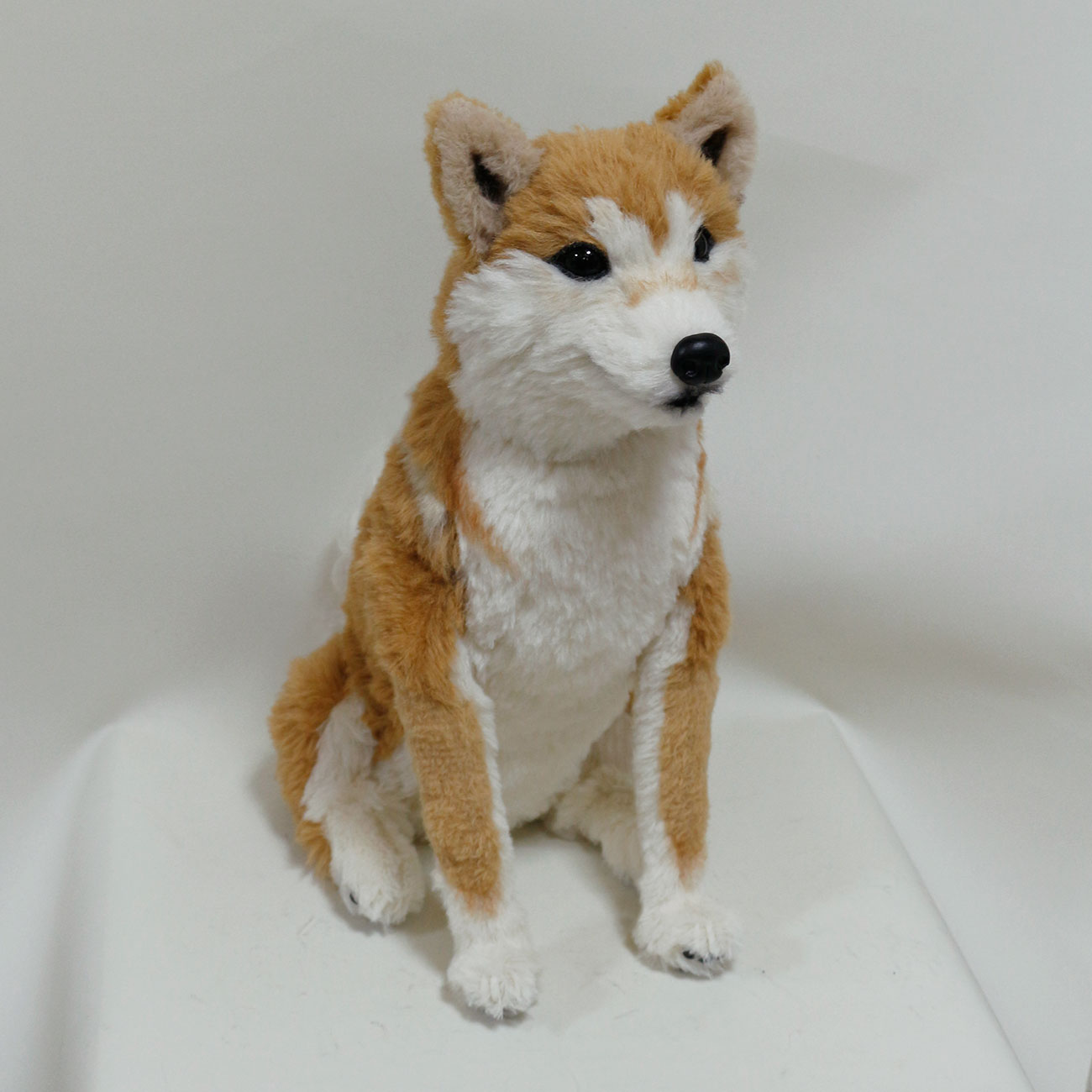 211230 ジャン 柴犬 - 【公式】ぬいぐるみのオーダーメイド。ペット