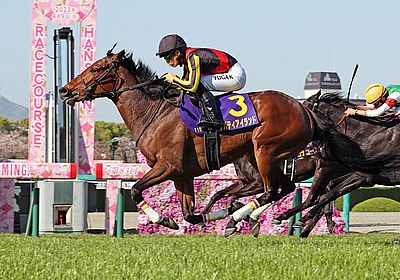 ジェンティルドンナ A1サイズポスター 2012年桜花賞 オークス 競馬