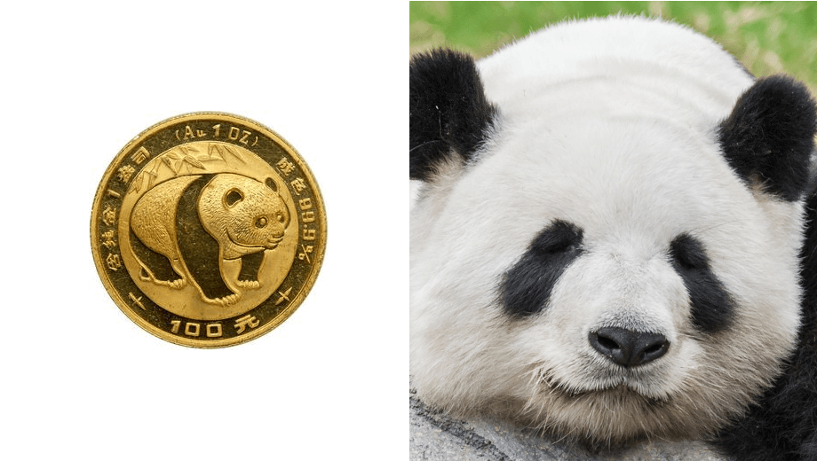 マ*マ様 アンティーク 黄銅貨 パンダ 壹圓 中華人民共和国 1984 中国