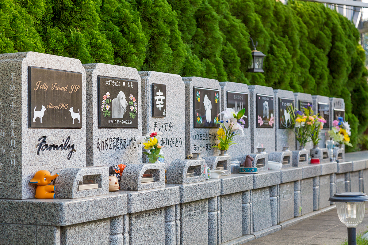 ペットエンジェルゲイト埼玉川口 | ペット火葬・ペット葬儀は『うちの