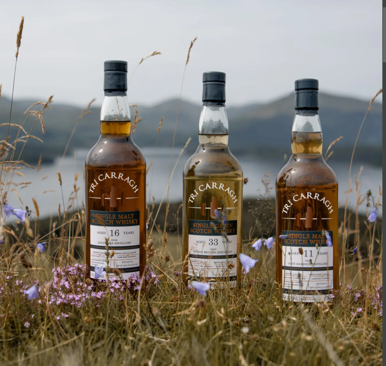 カスクストレングス マッカラン 1976-1997 ブラックアダー