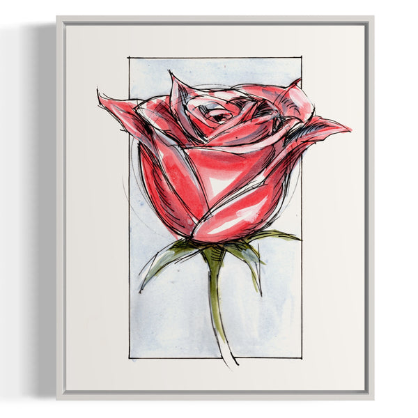 IMG_1540_JPG_grande.jpg?v=