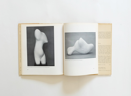 芸術写真 arp / The Museum of Modern Art 芸術写真 arp / The Museum