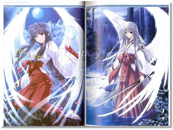 Sensation 山本和枝 プレミアム・アートワークス | HLJ.co.jp