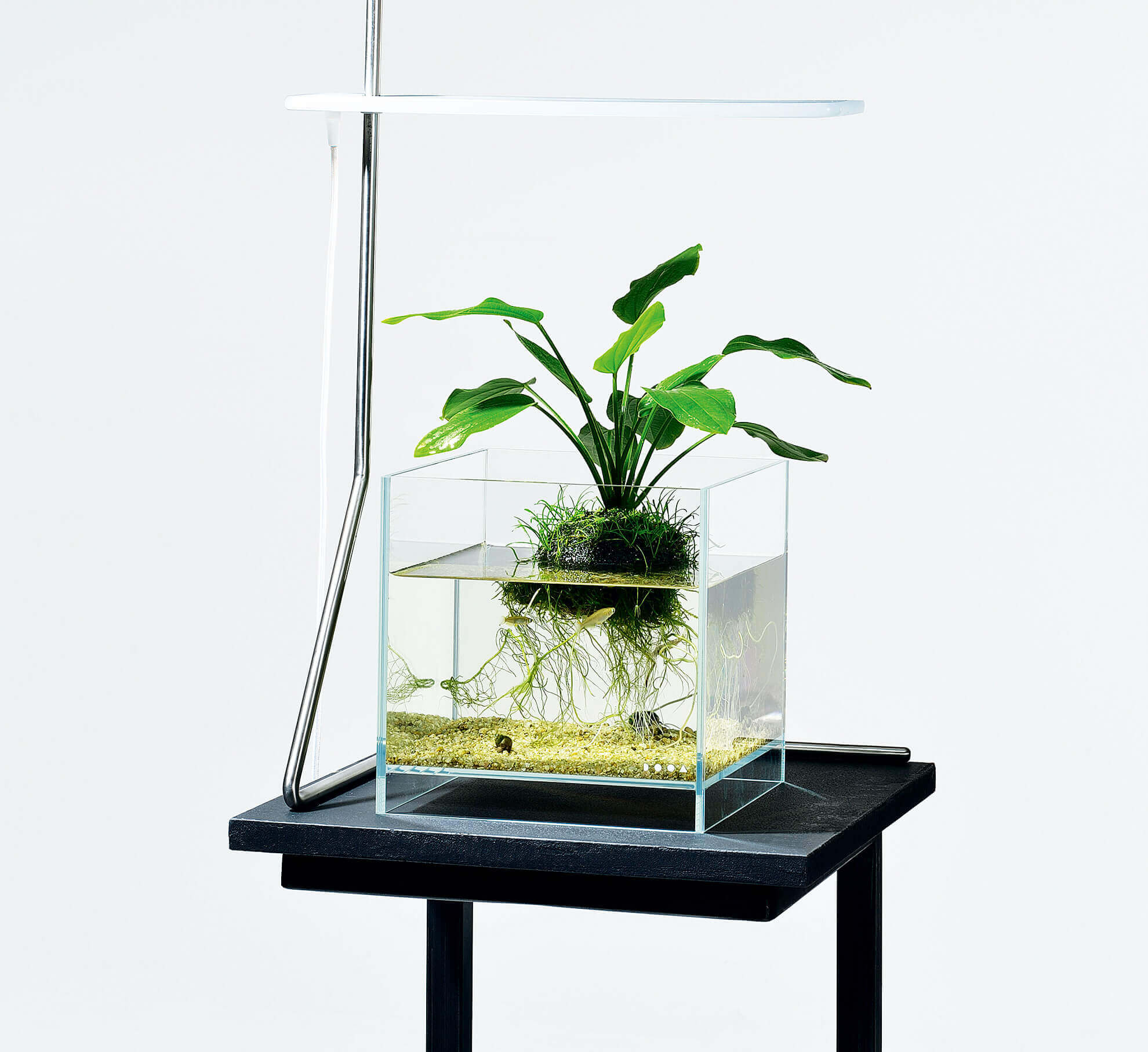 ADA DOOA ネオグラスエア 水槽 セット ADA DOOA ネオグラスエア 水槽