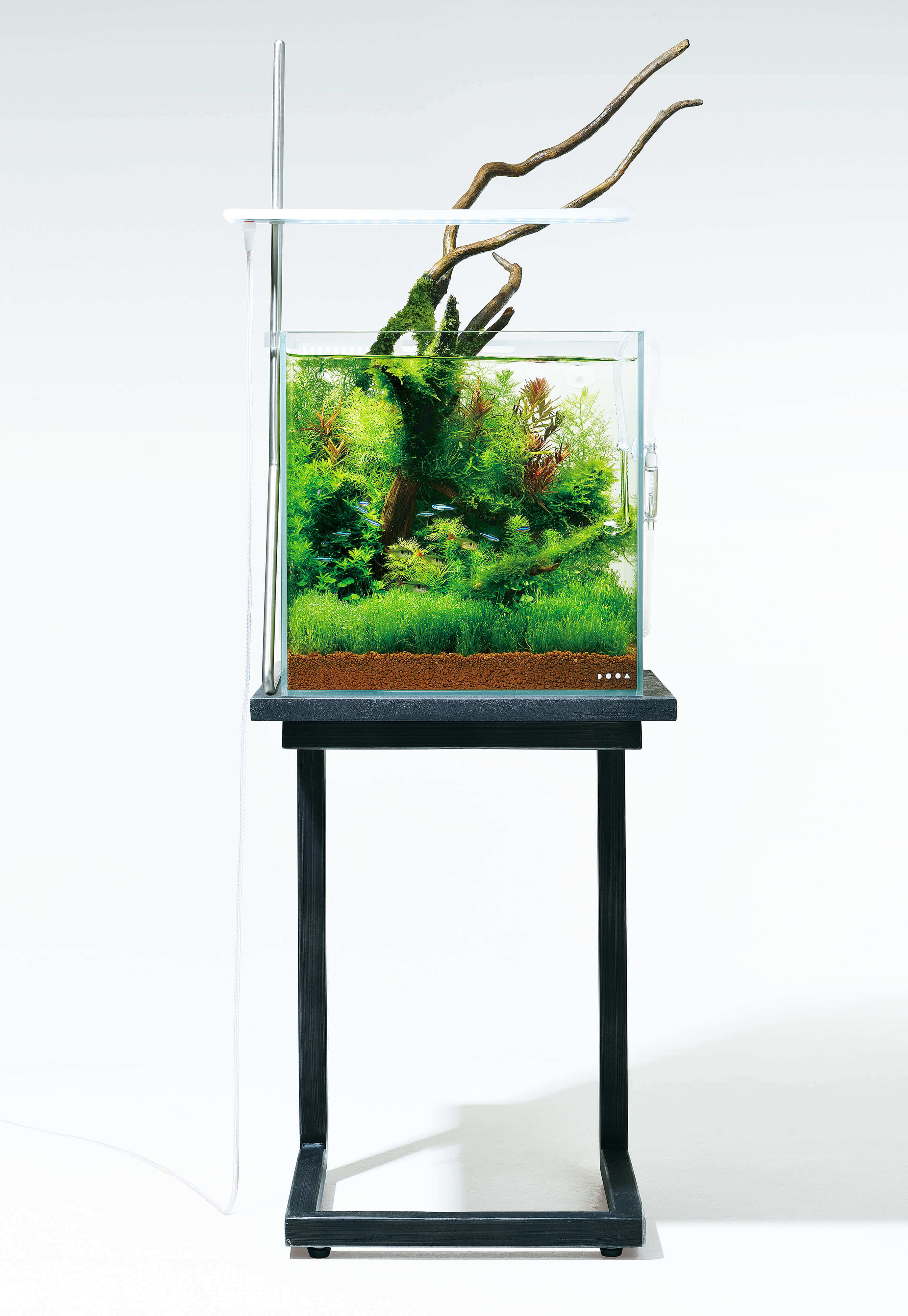 Dooa ネオグラスエア 15×15×25 蓋セット ×2 Dooa ネオグラスエア 15×15