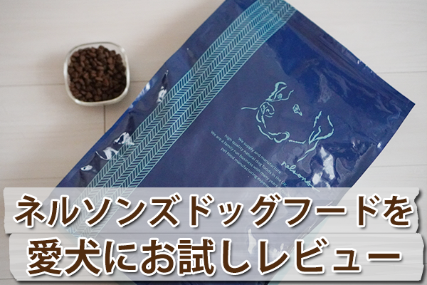 ネルソンズドッグフード5kg✖️2袋 ネルソンズ ドッグフード 5kg 1袋