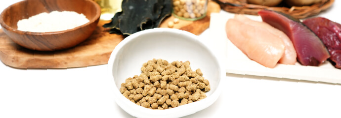 ドックフード まとめ売り未開封 犬心 ドッグフード 1kg×1 800g×3