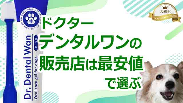 2026年2月最新】ドクターデンタルワンの販売店は予想外！最安値で選ぶ