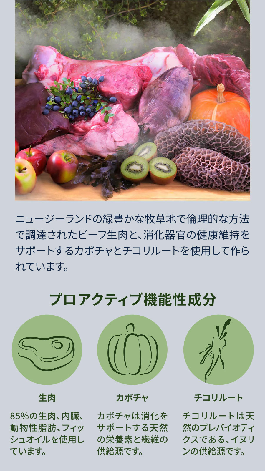 Ziwi ジウィピーク スチーム&ドライ・ドッグフード グラスフェッド