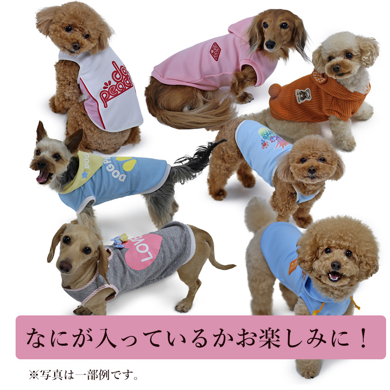 20周年感謝記念第1弾 39福袋 | 犬服通販ドッグピース