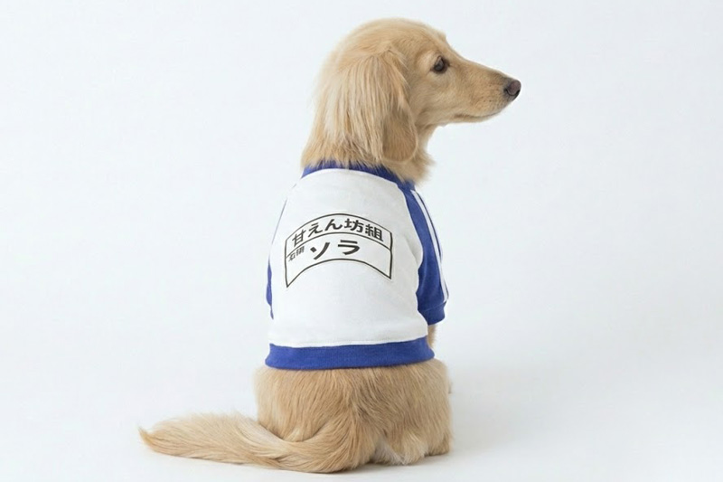 お名前プリント]レトロ・ゼッケン体操服 | 犬服通販ドッグピース
