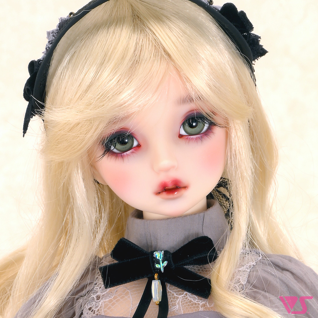 ディーラー専用 SD里帰りサービス | ドルパポータル | ボークス公式