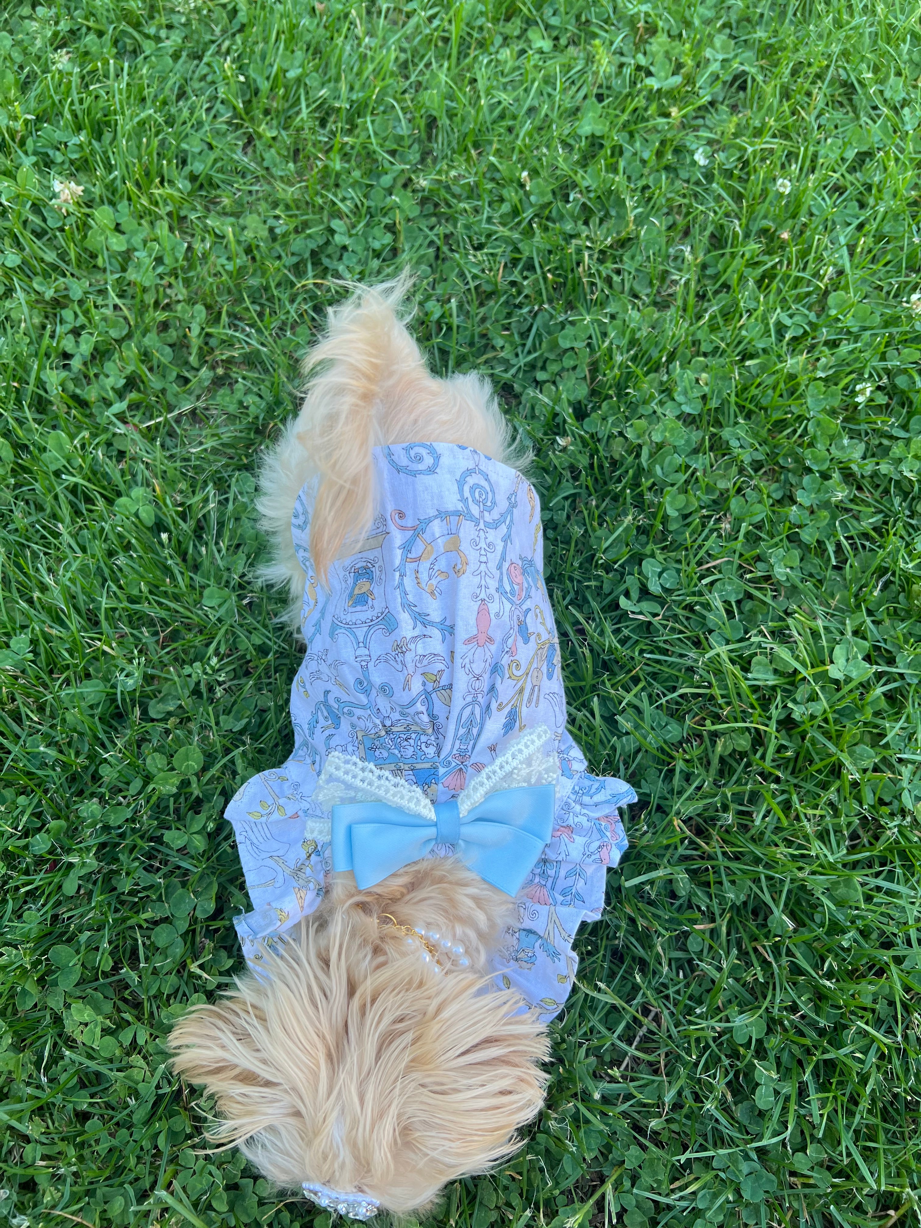 Breeze bliss Dolly pet dress dog