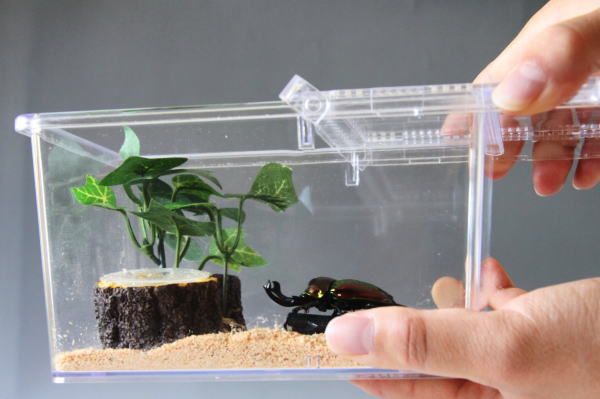 20個クリアスライダー・飼育ケース