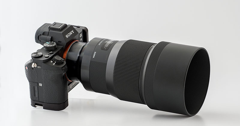 絶品のボケと立体感が味わえるSIGMA 135mm F1.8 DG HSM Artのすごさ
